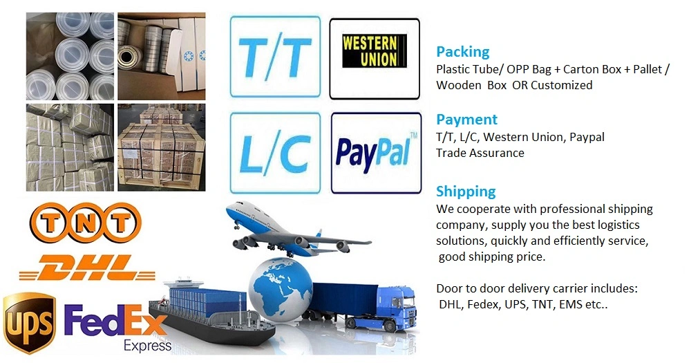 El llevar esférico radial del llano de la serie de GE… FO 2RS (GE15FO 2RS GE17FO 2RS GE2OFO 2RS GE25FO 2RS GE30FO 2RS GE35FO 2RS GE40FO 2RS GE45FO 2RS GE50FO 2RS GE60FO 2RS)